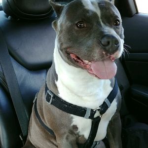 Meet your Posher, Tammy